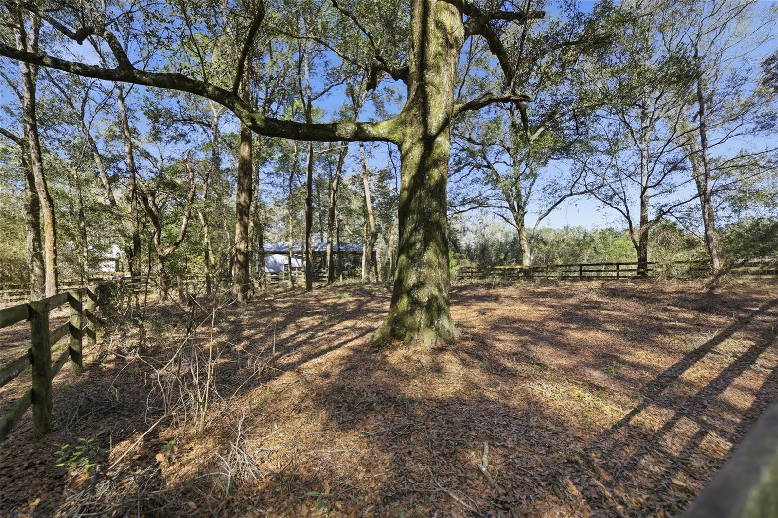 MEADOW WOOD FARMS - Residential