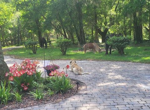 Tiny photo for 19 Northern Dancer Drive, Ocala, FL 34482 (MLS # O6386958)