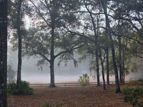 Tiny photo for 19 Northern Dancer Drive, Ocala, FL 34482 (MLS # O6386958)