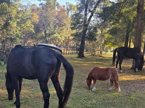 Tiny photo for 19 Northern Dancer Drive, Ocala, FL 34482 (MLS # O6386958)