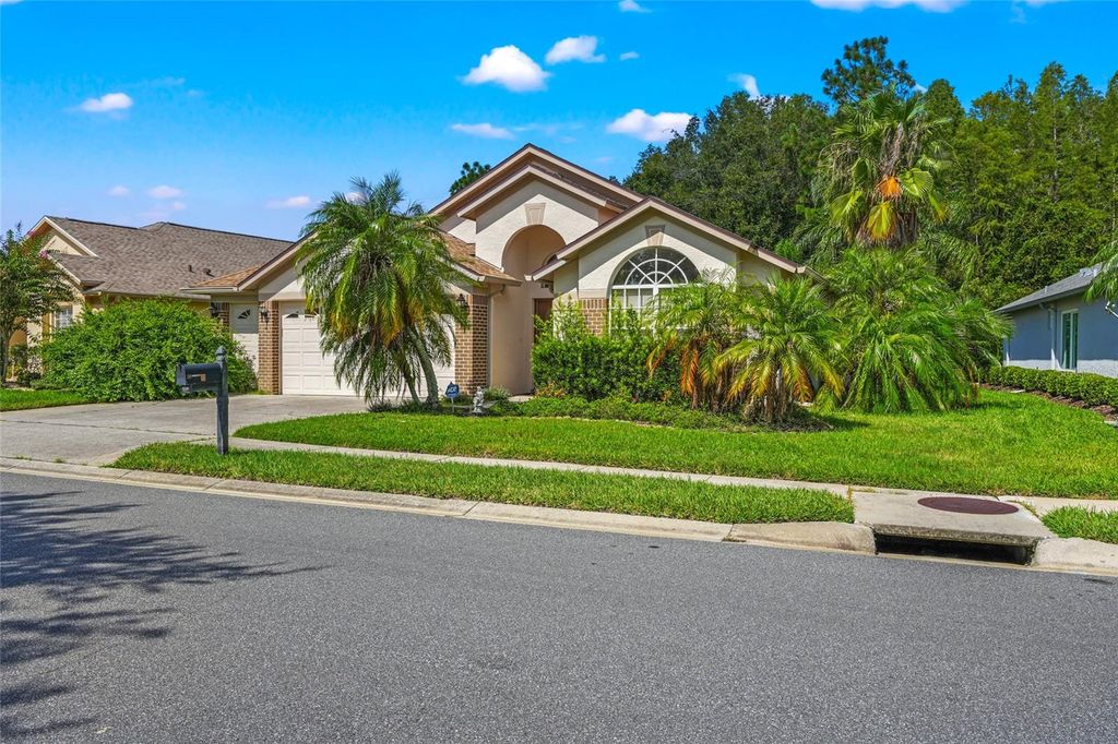Photo of 8209 SANGUINELLI ROAD, LAND O LAKES, FL 34637 (MLS # T3469866)