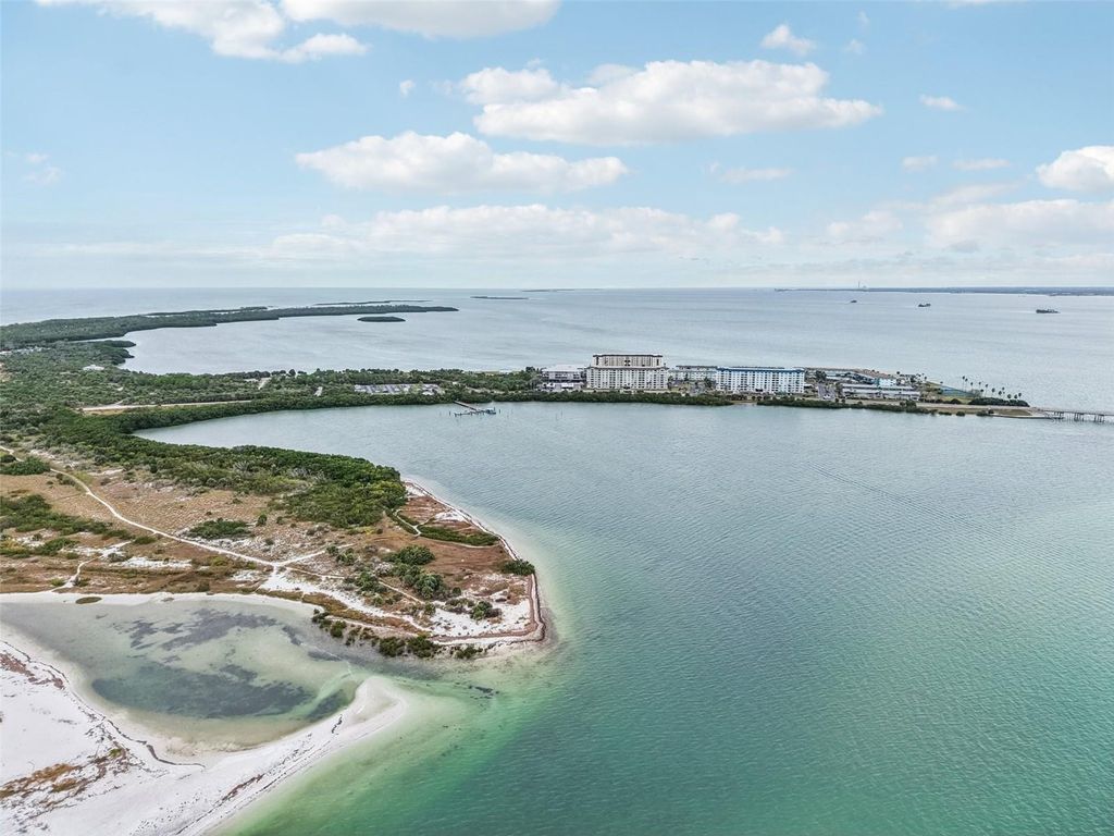 Photo of 9 Haig Place #704, Dunedin, FL 34698 (MLS # TB8455842)