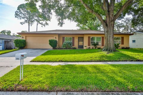 Photo of 3718 Sand Pebble Drive, Valrico, FL 33596 (MLS # TB8513075)