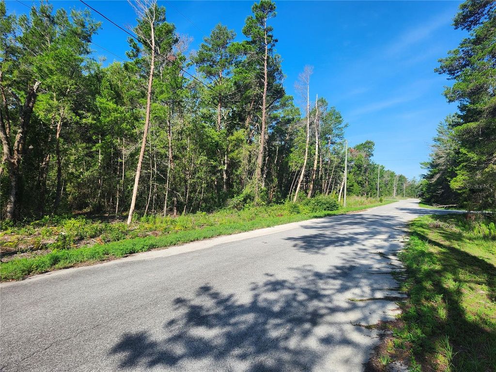 Photo of 00 Fisher Trail, Ocklawaha, FL 32179 (MLS # OM702589)