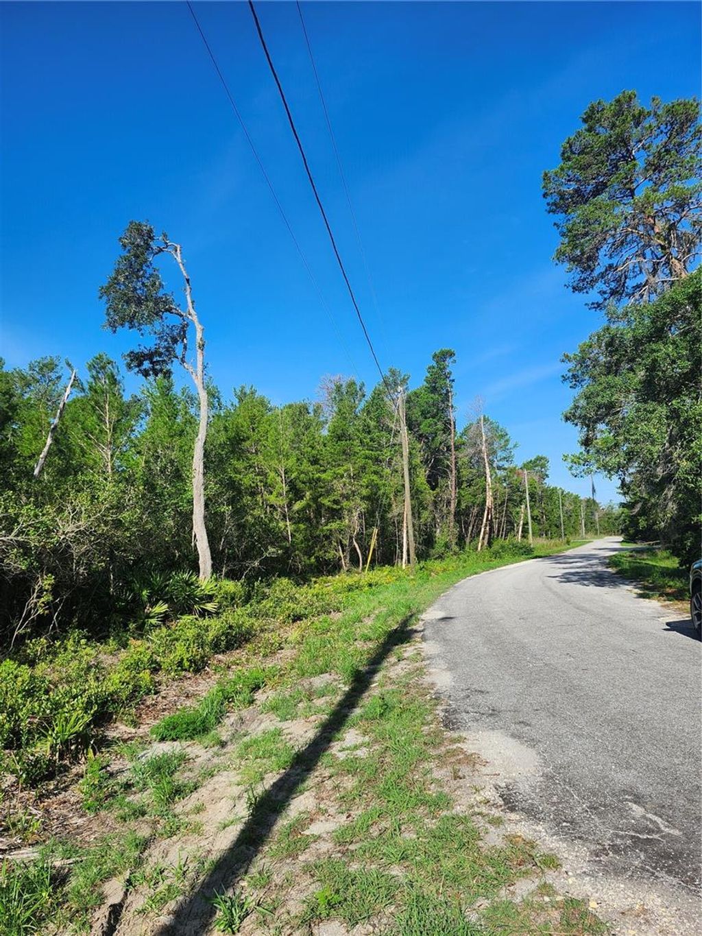 Photo of 00 Fisher Trail, Ocklawaha, FL 32179 (MLS # OM702589)