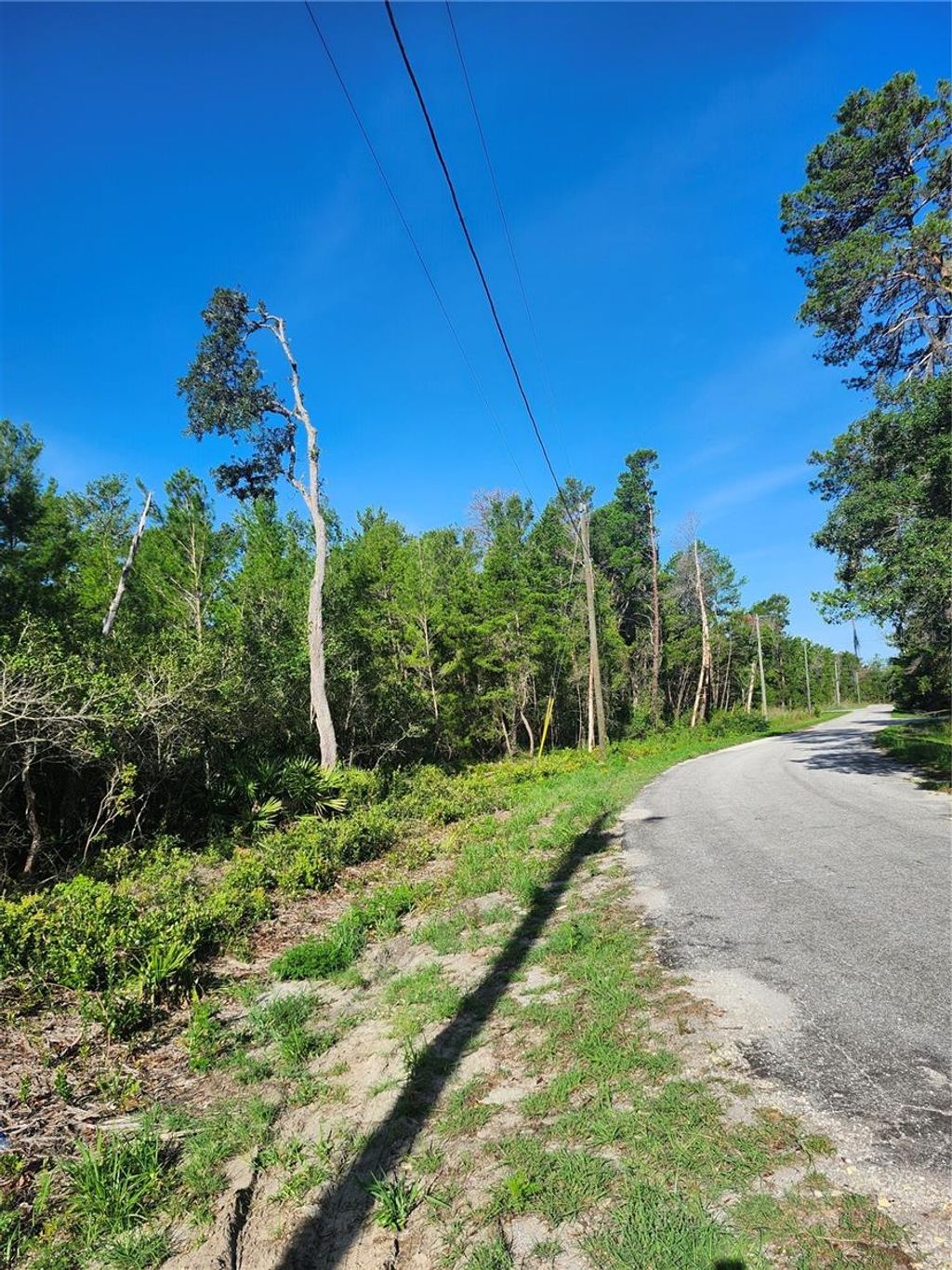 Photo of 00 Fisher Trail, Ocklawaha, FL 32179 (MLS # OM702589)