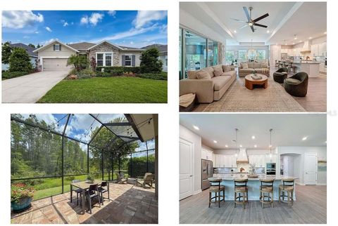 15355 RENAISSANCE AVENUE ODESSA FL 33556