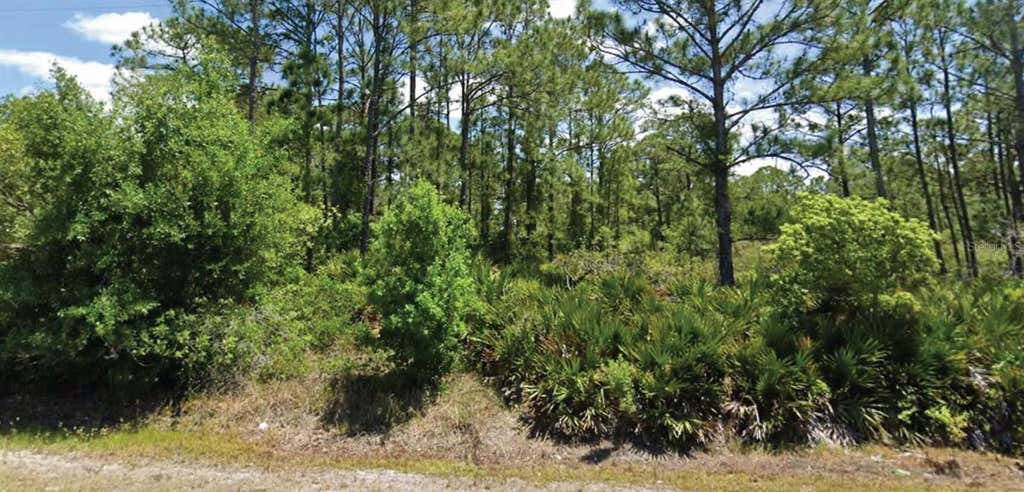 Photo of 648 Pershing Avenue, Lake Placid, FL 33852 (MLS # O6427277)