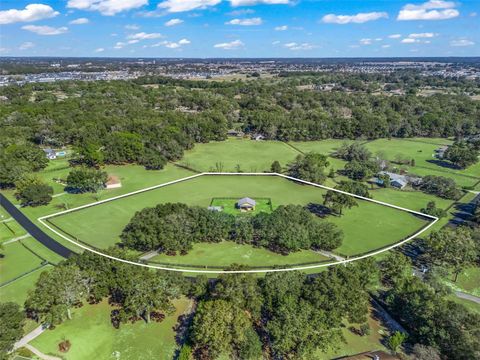 9865 SW 74TH AVENUE OCALA FL 34476