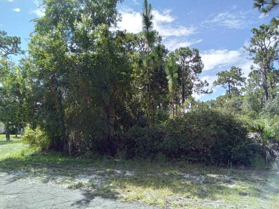 INDIAN LAKE ESTATES - Land