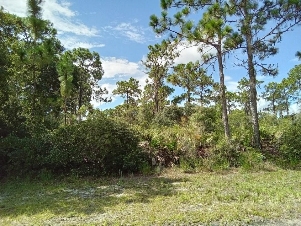 INDIAN LAKE ESTATES - Land