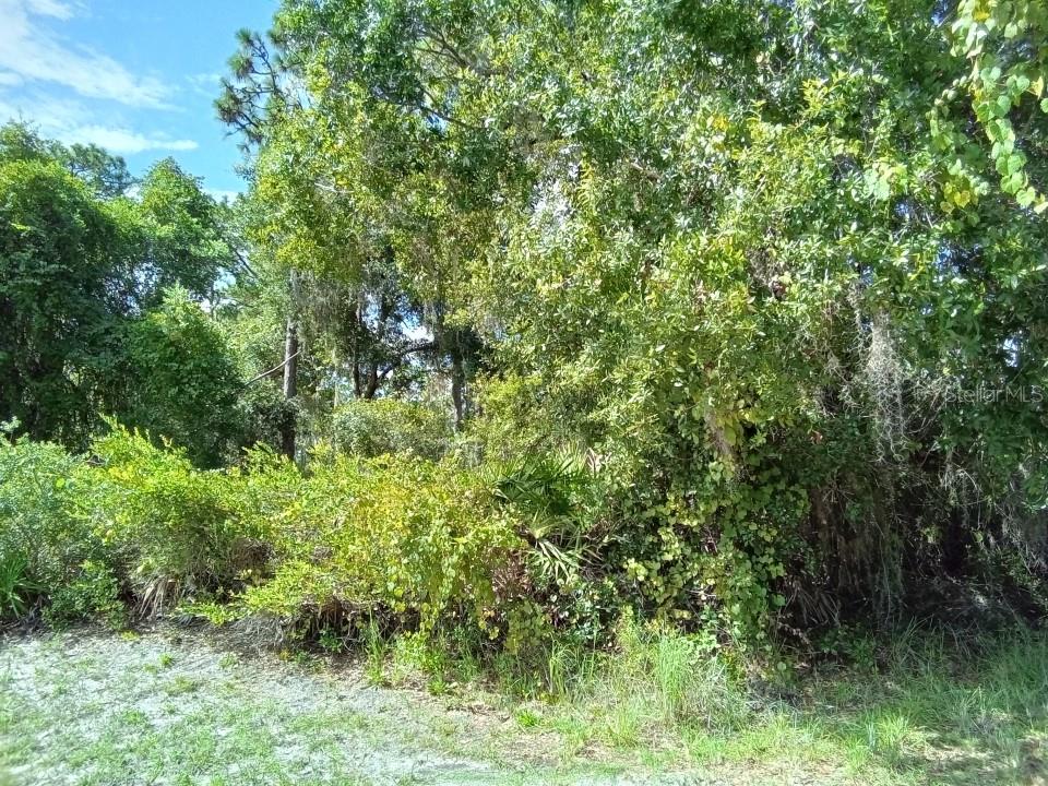 INDIAN LAKE ESTATES - Land