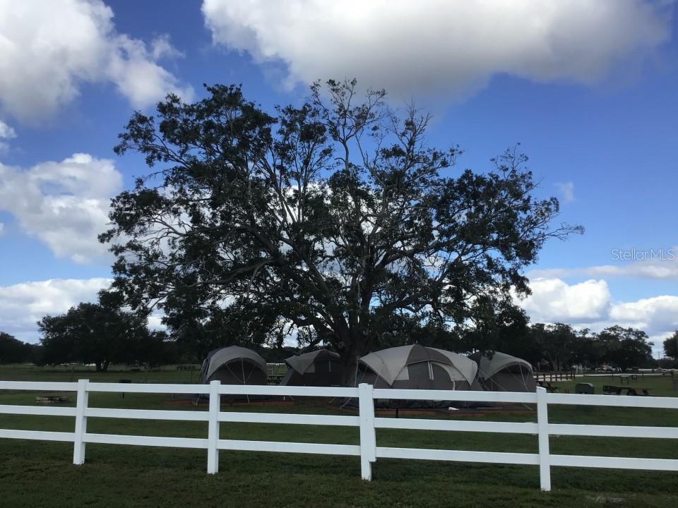 INDIAN LAKE ESTATES - Land