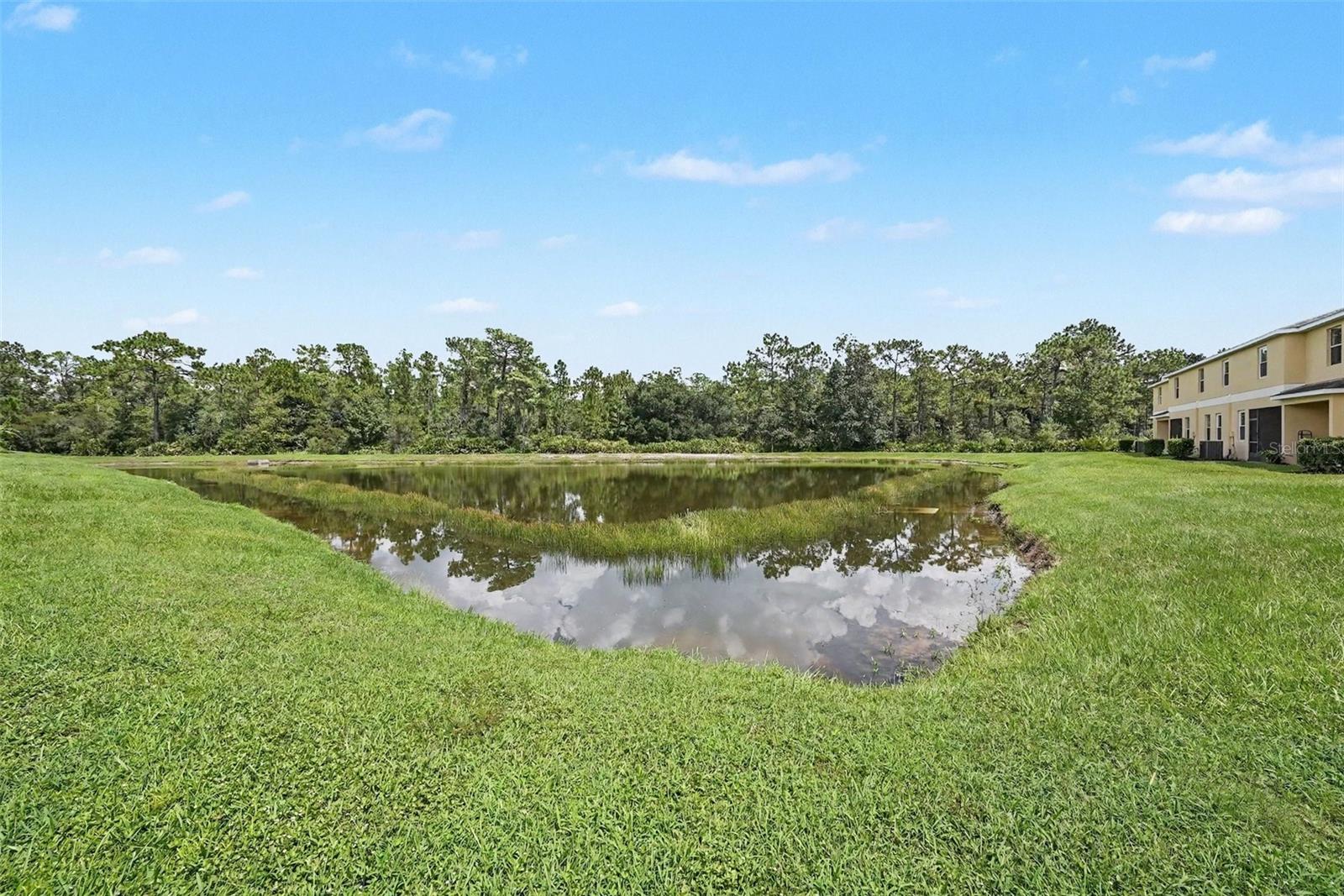 8604 FIDDLELEAF COURT