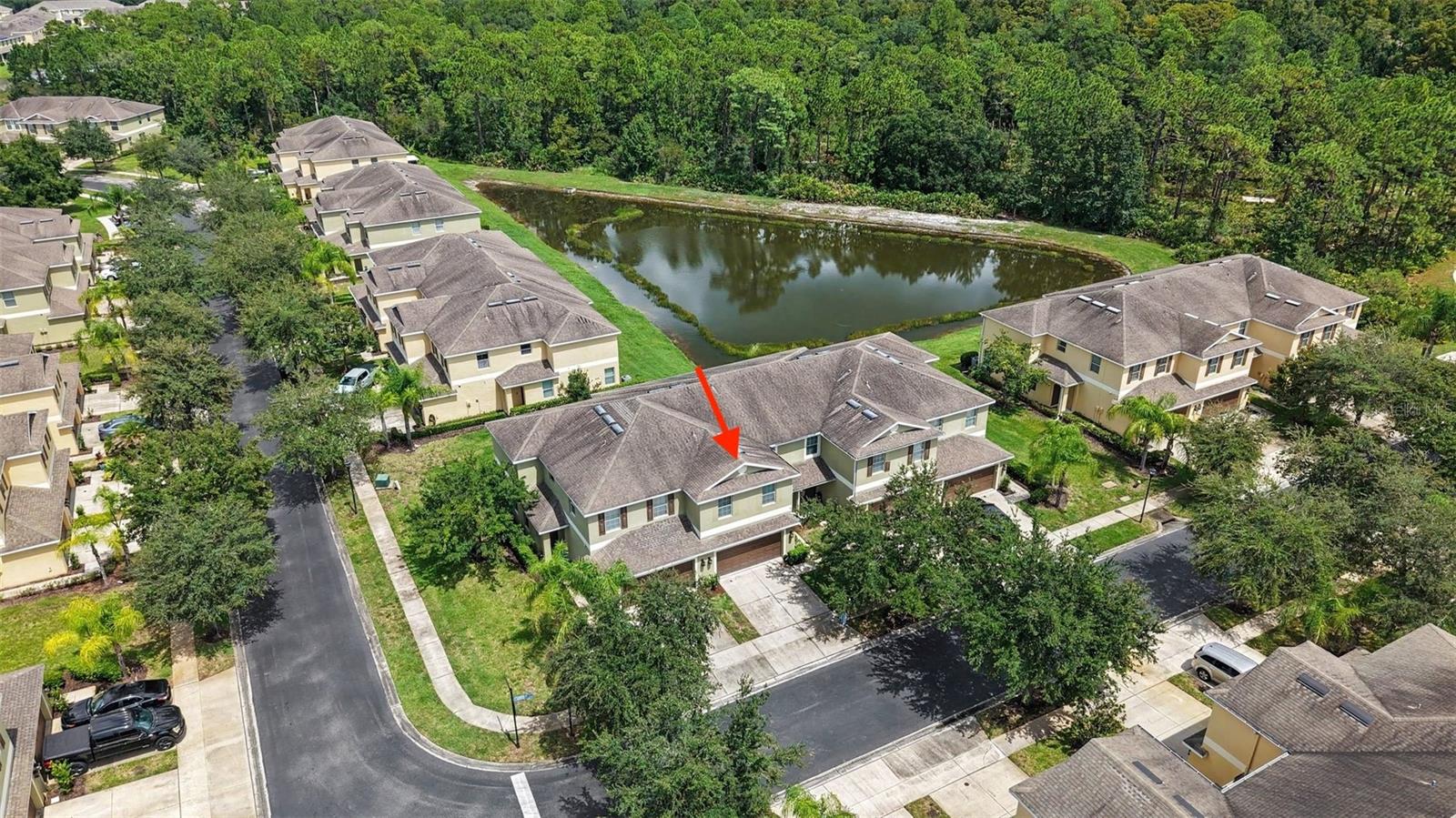 8604 FIDDLELEAF COURT