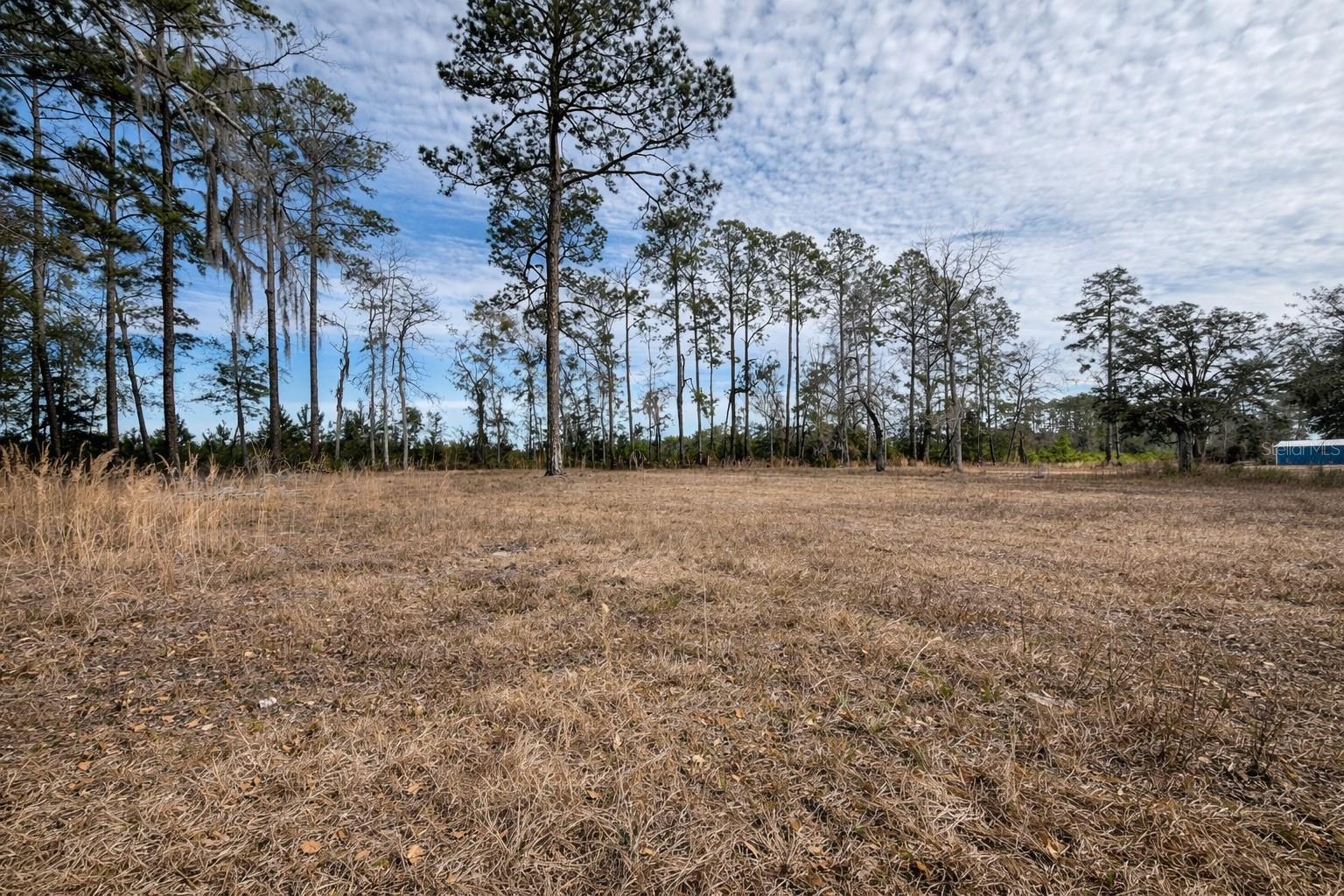 NO SUBDIVISION - Residential