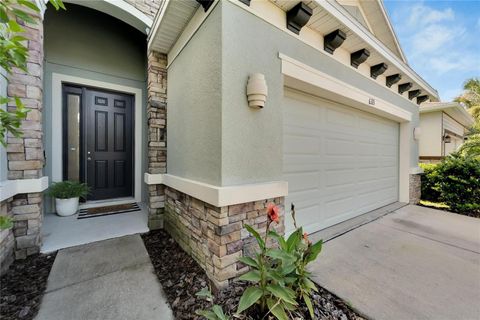 A home in APOLLO BEACH