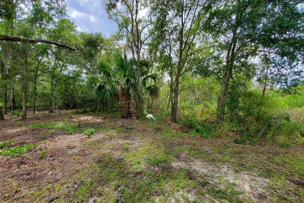 Photo of Holy Cow Road, Polk City, FL 33868 (MLS # P4936386)