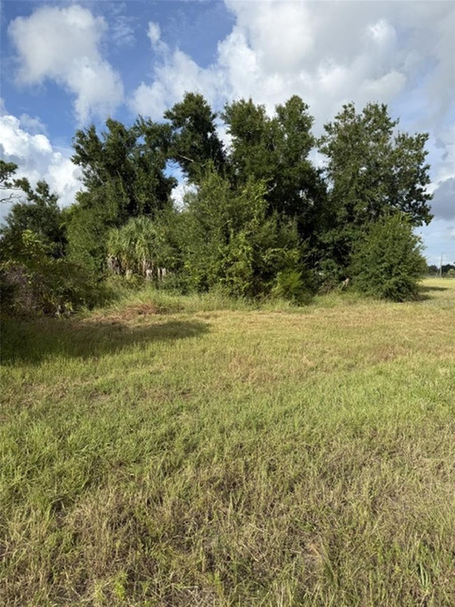 12390 BLUE MARLIN ROAD