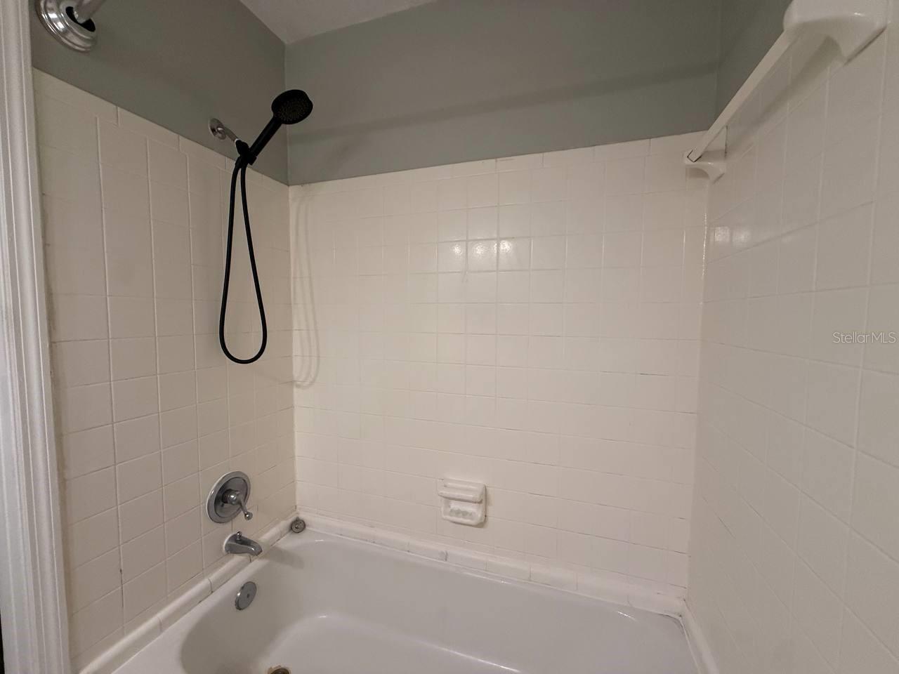 ARTIST COLONY OF DUNEDIN CONDO - Residential Lease