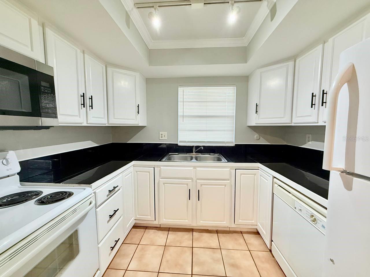 ARTIST COLONY OF DUNEDIN CONDO - Residential Lease