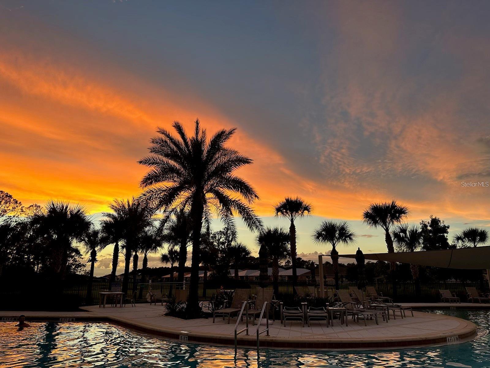 PALMS/SERENOA PH 3 - Residential