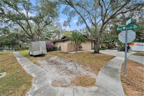 A home in SAFETY HARBOR