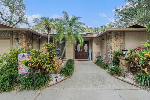 A home in SAFETY HARBOR