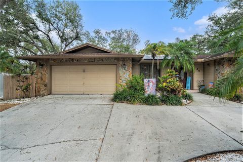 A home in SAFETY HARBOR