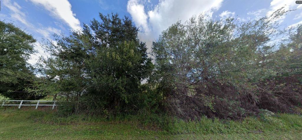 Photo of Tall Pine Road, Polk City, FL 33868 (MLS # O6270665)