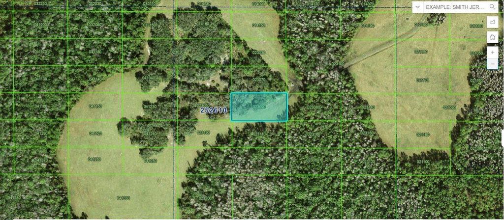 Photo of Tall Pine Road, Polk City, FL 33868 (MLS # O6270665)