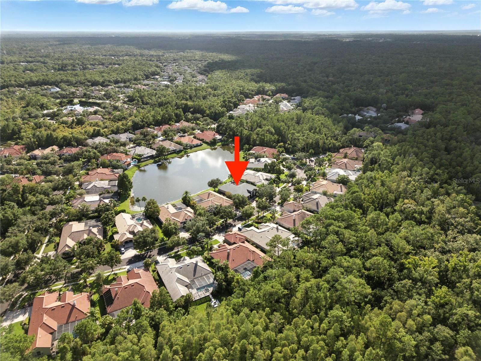 TAMPA PALMS AREA 8 PRCL 23 P - Residential