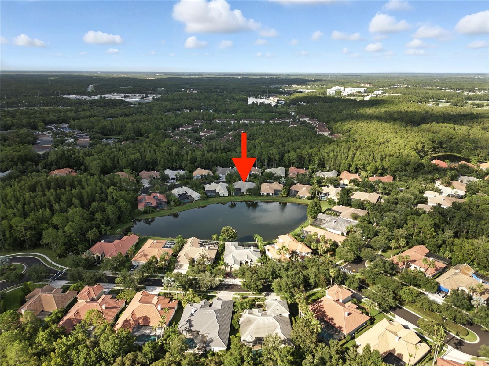 TAMPA PALMS AREA 8 PRCL 23 P - Residential