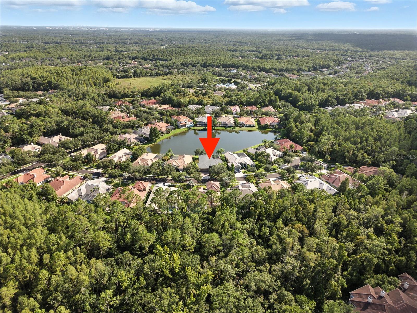 TAMPA PALMS AREA 8 PRCL 23 P - Residential