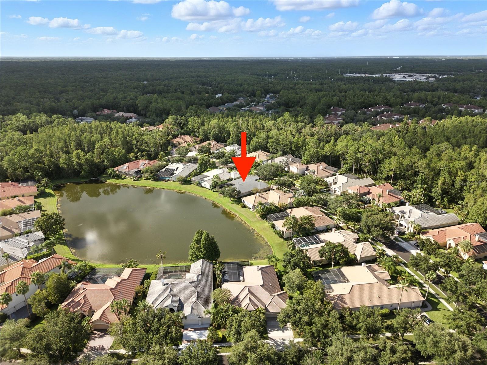 TAMPA PALMS AREA 8 PRCL 23 P - Residential