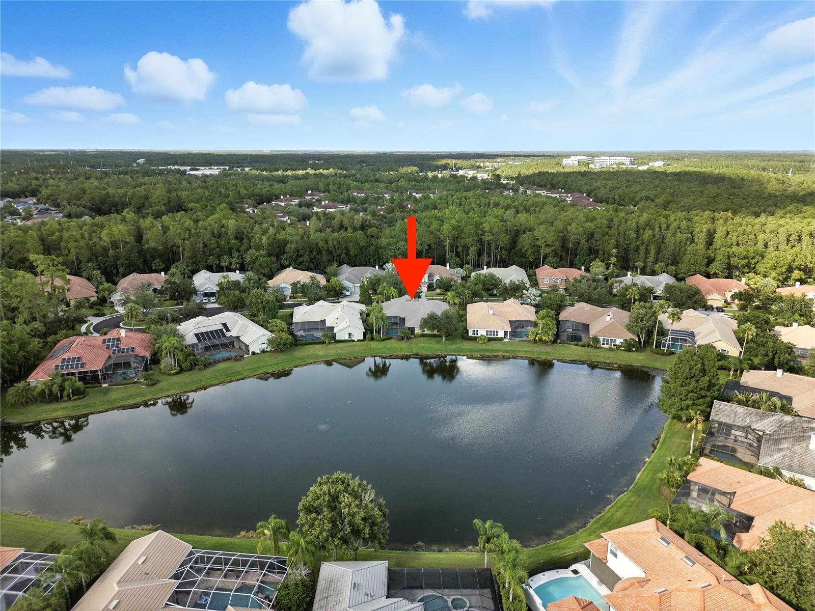 TAMPA PALMS AREA 8 PRCL 23 P - Residential