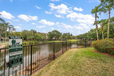 A home in TAMPA