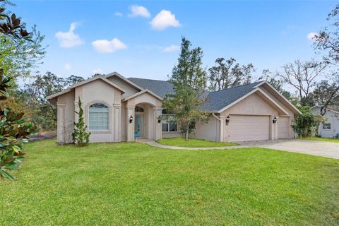 A home in HOMOSASSA