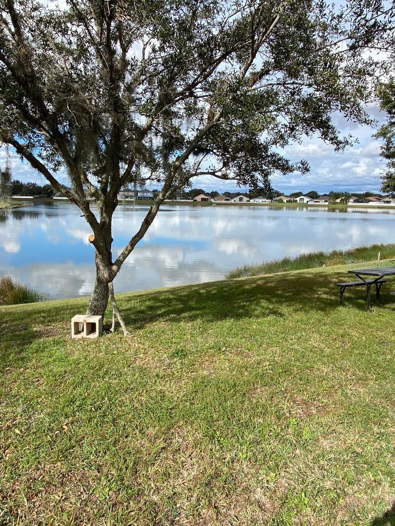 BRIDGEWATER PH 01 & 02 - Residential Lease