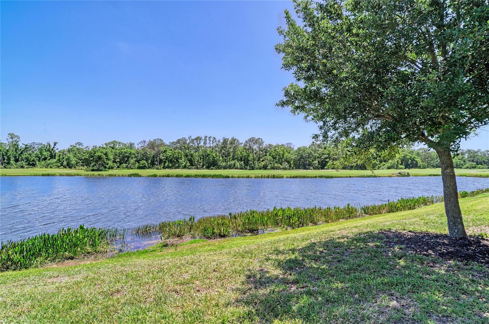 LAKEWOOD NATIONAL - Residential