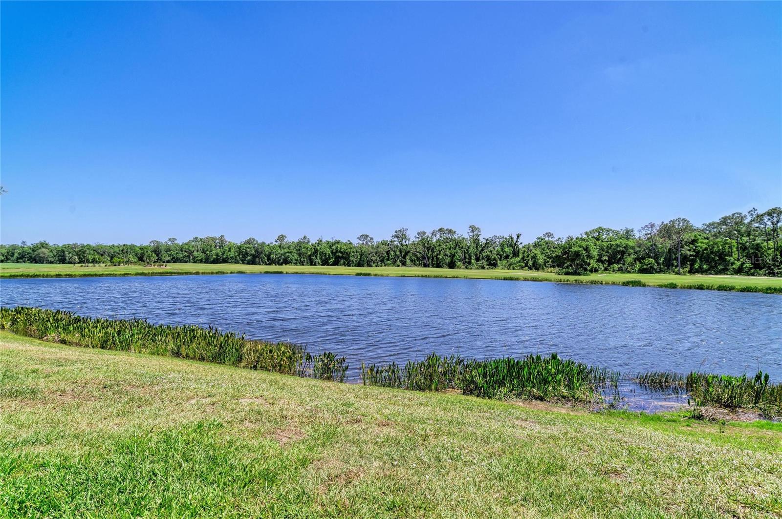 LAKEWOOD NATIONAL - Residential