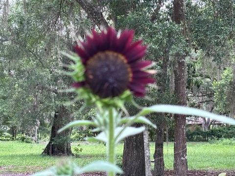Tiny photo for 3551 NW 60th Avenue, Chiefland, FL 32626 (MLS # GC540902)