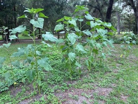 Tiny photo for 3551 NW 60th Avenue, Chiefland, FL 32626 (MLS # GC540902)