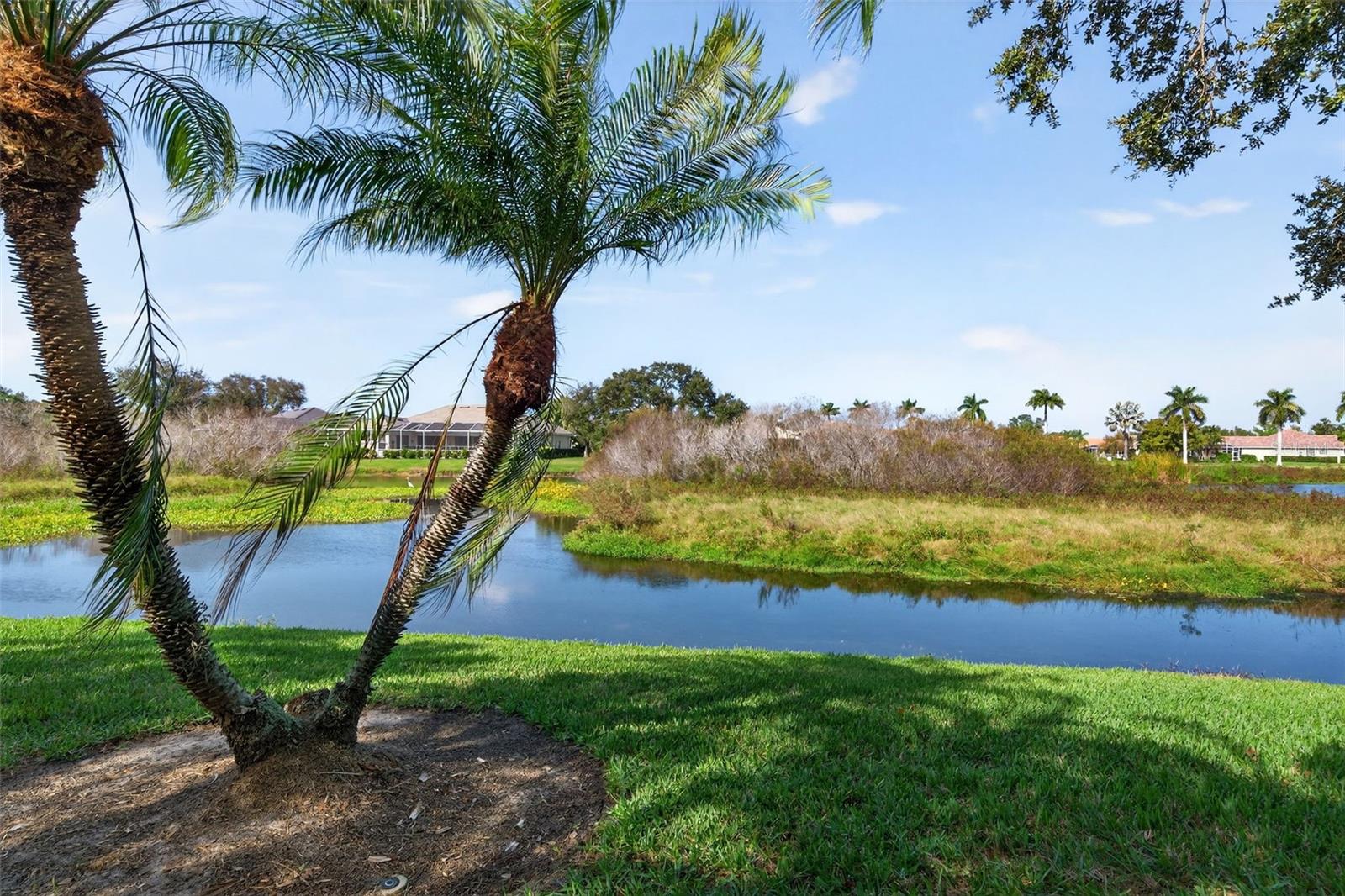 THE HAMPTONS - Residential