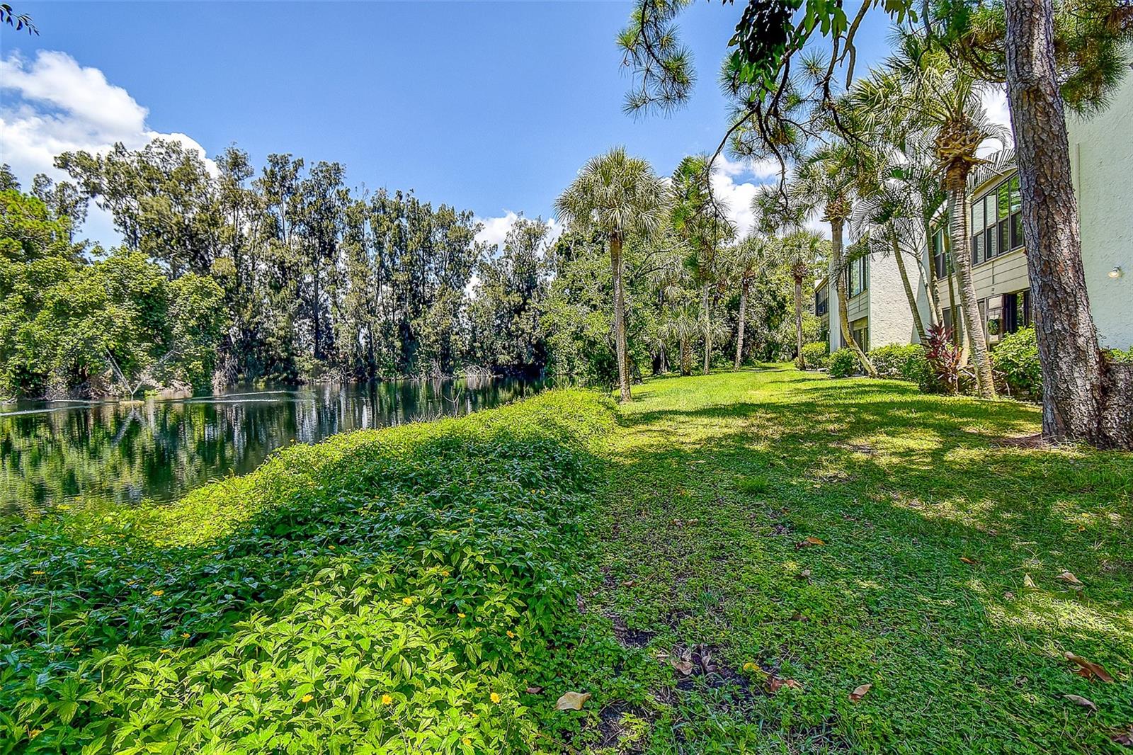 WILDEWOOD SPGS STAGE 1C2 OF PINEHURST - Residential