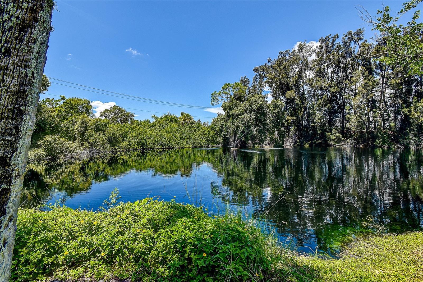 WILDEWOOD SPGS STAGE 1C2 OF PINEHURST - Residential