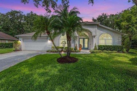 4797 STONEBRIAR DRIVE OLDSMAR FL 34677
