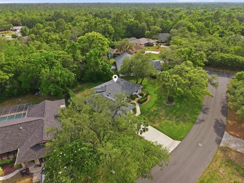 Tiny photo for 7 Salvia Court W, Homosassa, FL 34446 (MLS # TB8508005)