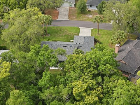 Tiny photo for 7 Salvia Court W, Homosassa, FL 34446 (MLS # TB8508005)
