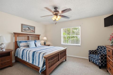 Tiny photo for 7 Salvia Court W, Homosassa, FL 34446 (MLS # TB8508005)
